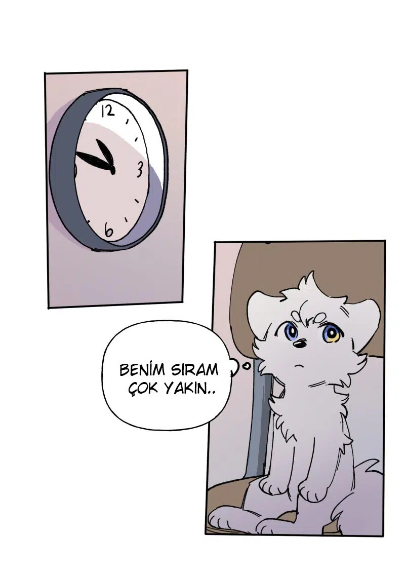 Lumine - Bölüm 113 Sayfa 11