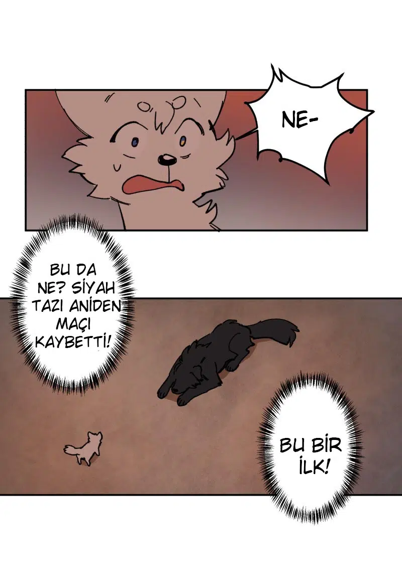 Lumine - Bölüm 113 Sayfa 47