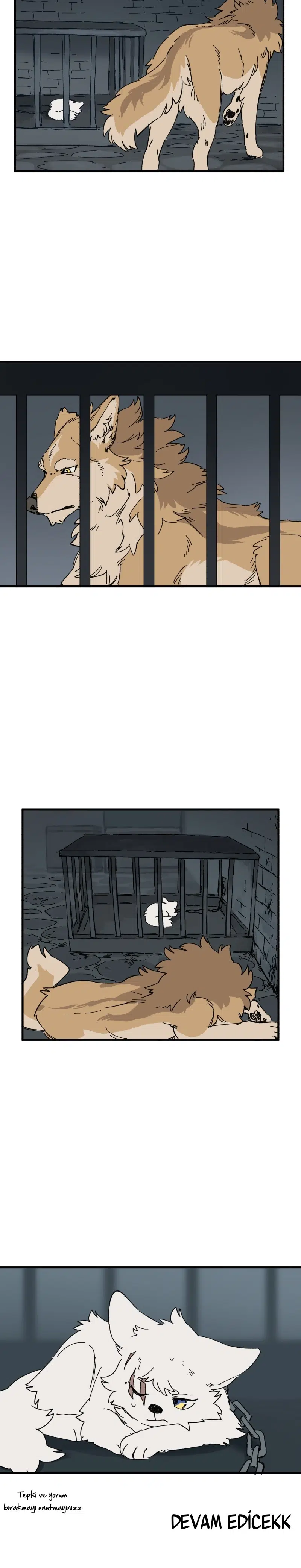 Lumine - Bölüm 139 Sayfa 11