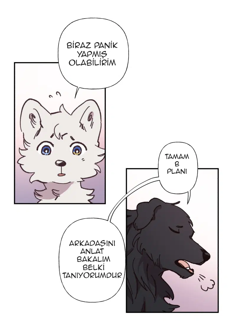 Lumine - Bölüm 82 Sayfa 14
