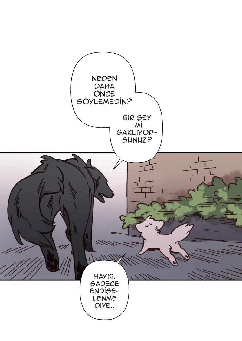 Lumine - Bölüm 82 Sayfa 24