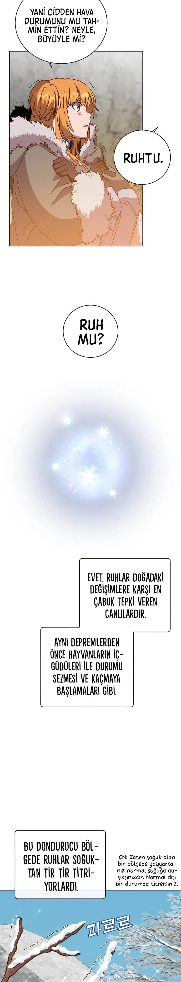 Son Seviye Kahramanın Dönüşü - Bölüm 108 Sayfa 17