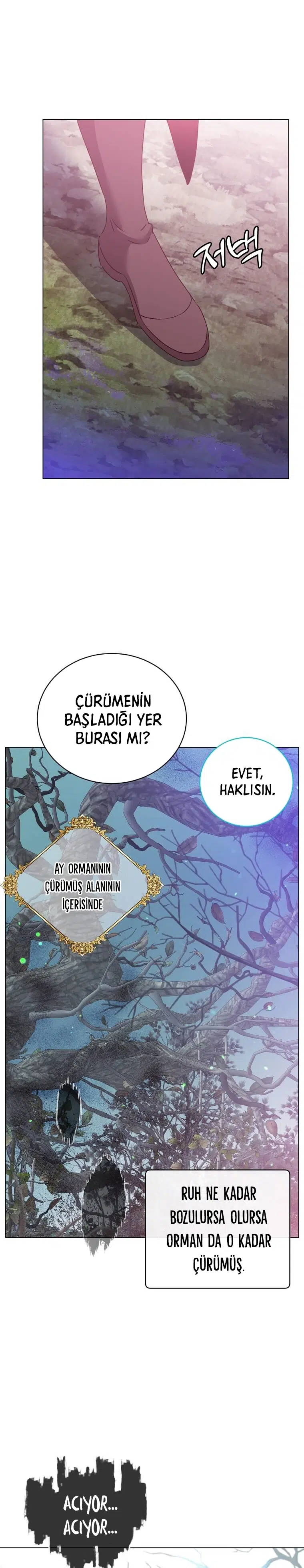Son Seviye Kahramanın Dönüşü - Bölüm 134 Sayfa 5