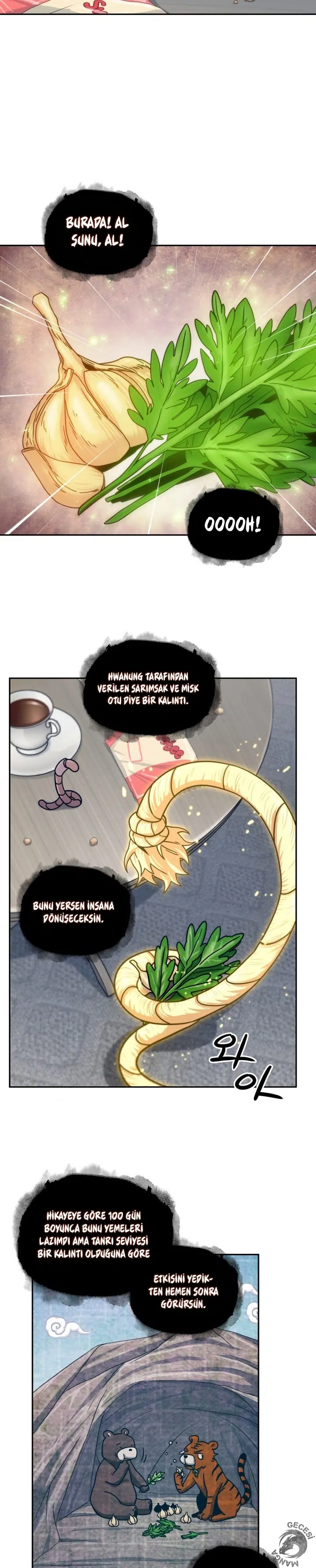 Lahit Akıncısı Kralı - Bölüm 161 Sayfa 15