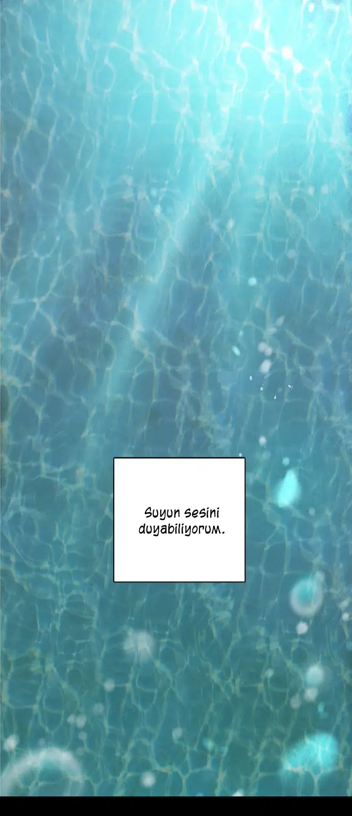 Ay Işığındaki Denizkızı - Bölüm 1 Sayfa 2