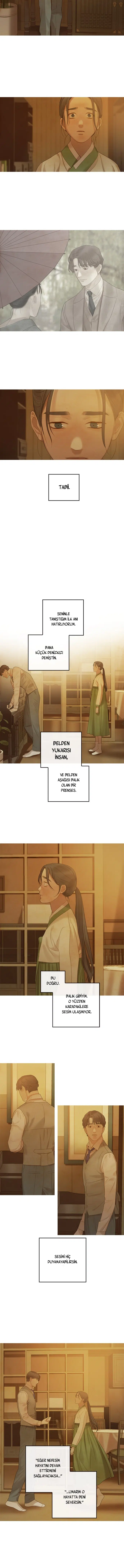 Ay Işığındaki Denizkızı - Bölüm 103 Sayfa 12