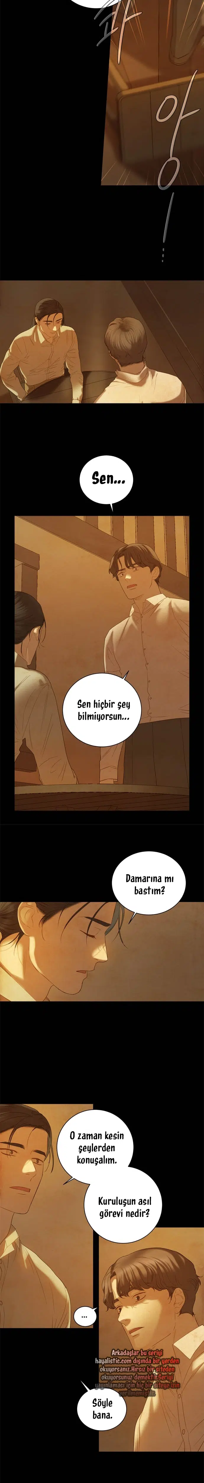 Ay Işığındaki Denizkızı - Bölüm 65 Sayfa 17