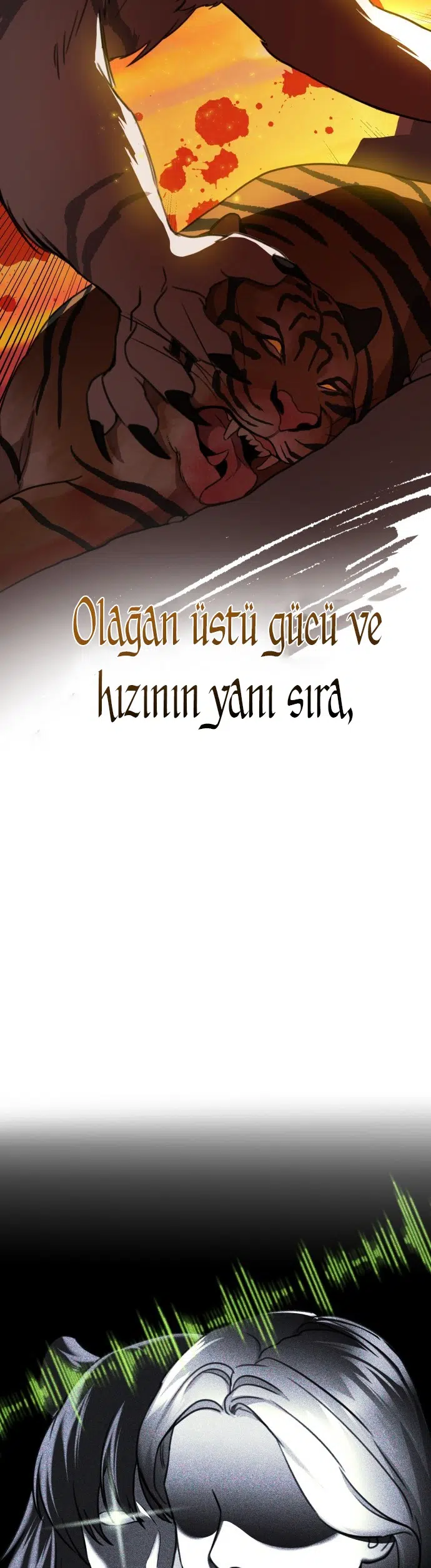 Sis Dağının Kaplanı - Bölüm 1 Sayfa 8