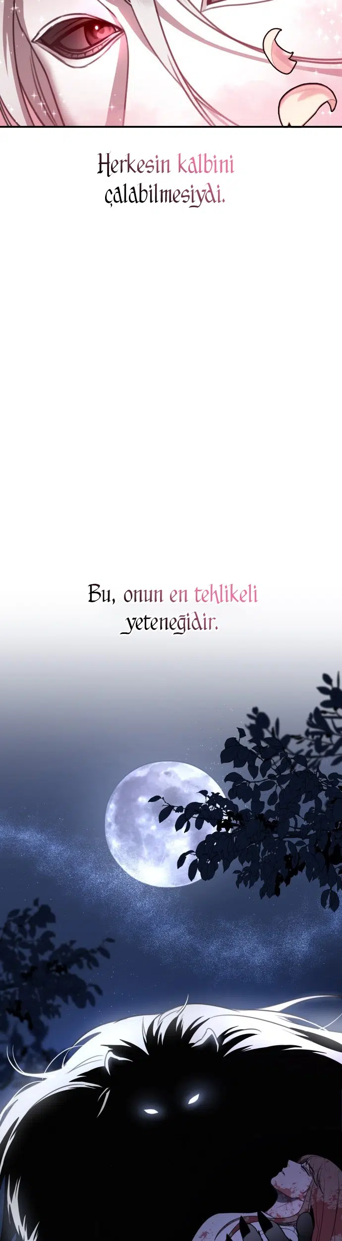 Sis Dağının Kaplanı - Bölüm 1 Sayfa 17