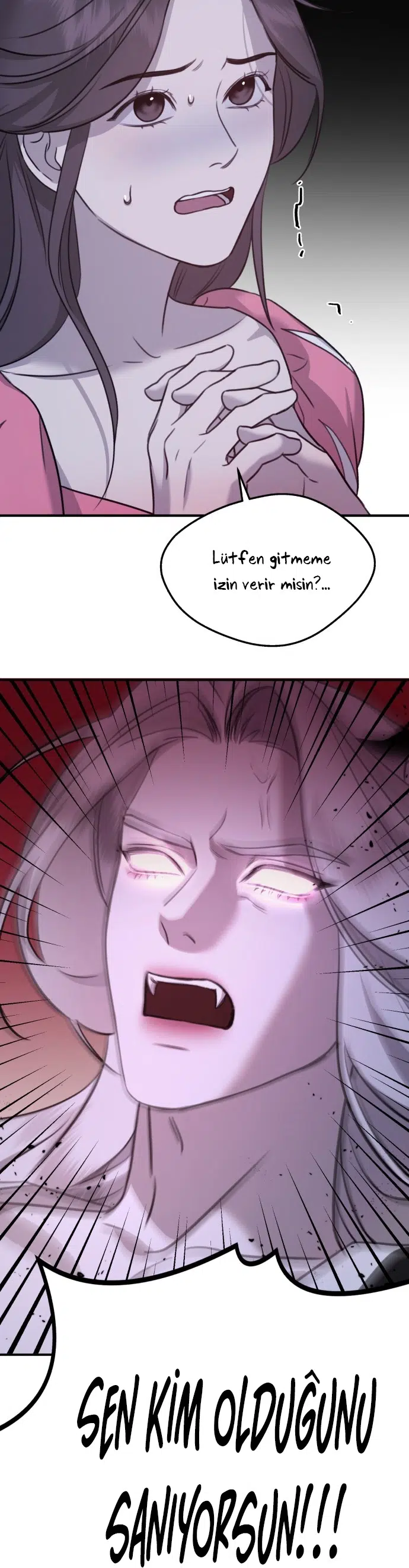 Sis Dağının Kaplanı - Bölüm 3 Sayfa 13