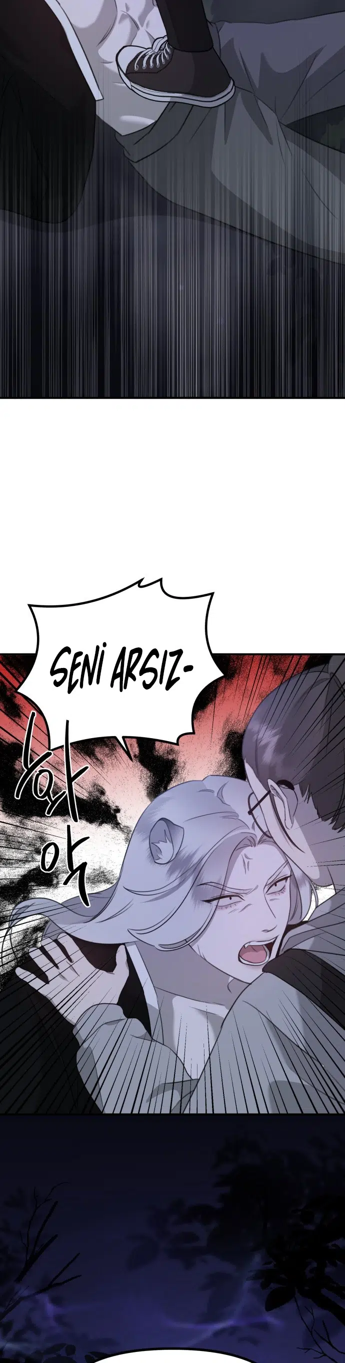 Sis Dağının Kaplanı - Bölüm 6 Sayfa 13