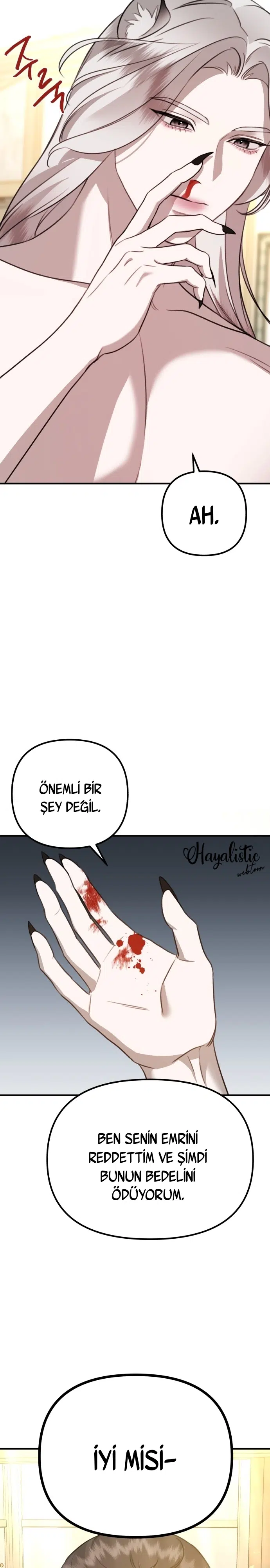 Sis Dağının Kaplanı - Bölüm 7 Sayfa 31