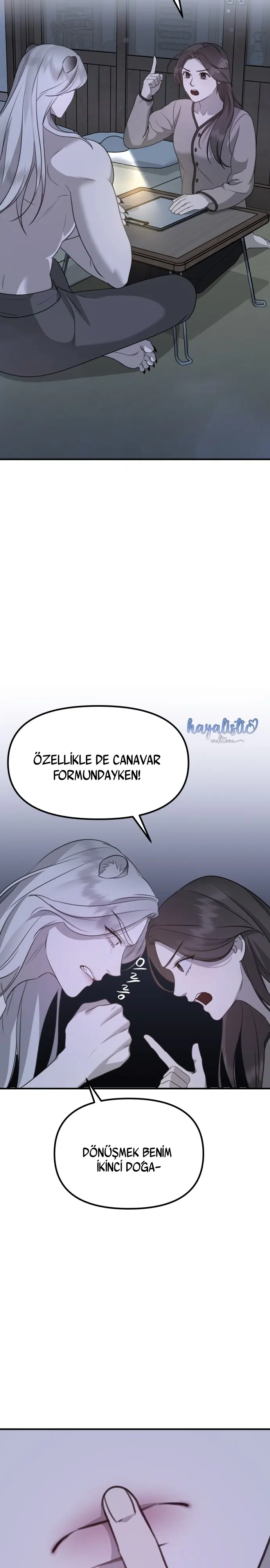 Sis Dağının Kaplanı - Bölüm 8 Sayfa 19