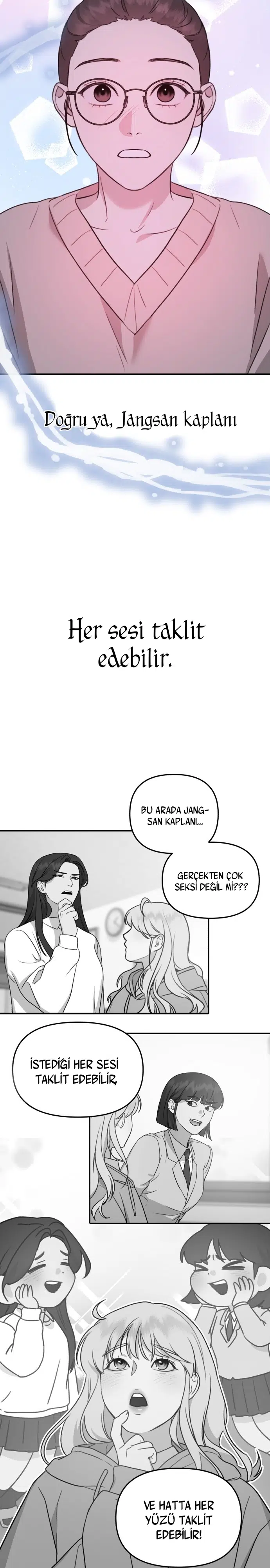 Sis Dağının Kaplanı - Bölüm 12 Sayfa 31