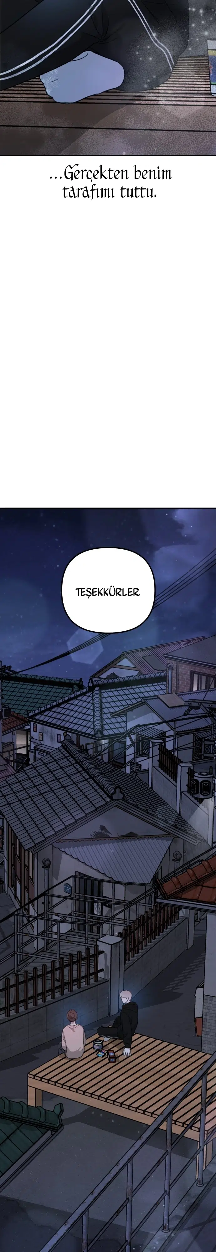 Sis Dağının Kaplanı - Bölüm 12 Sayfa 47