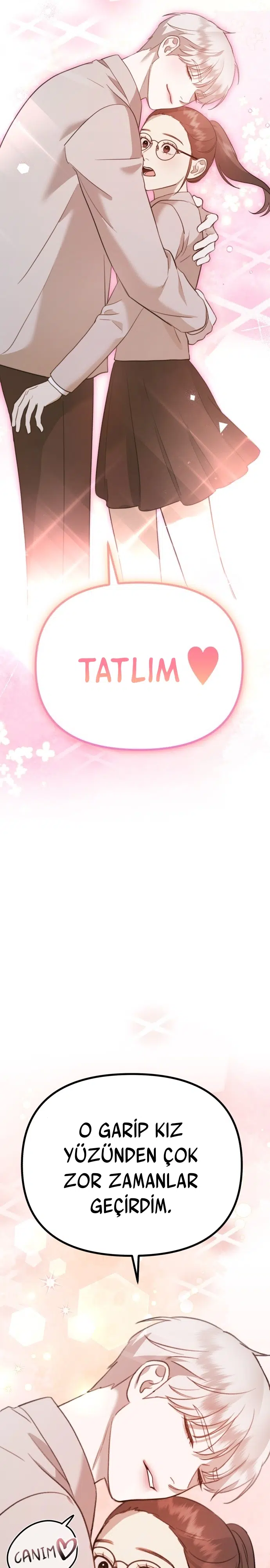 Sis Dağının Kaplanı - Bölüm 14 Sayfa 12