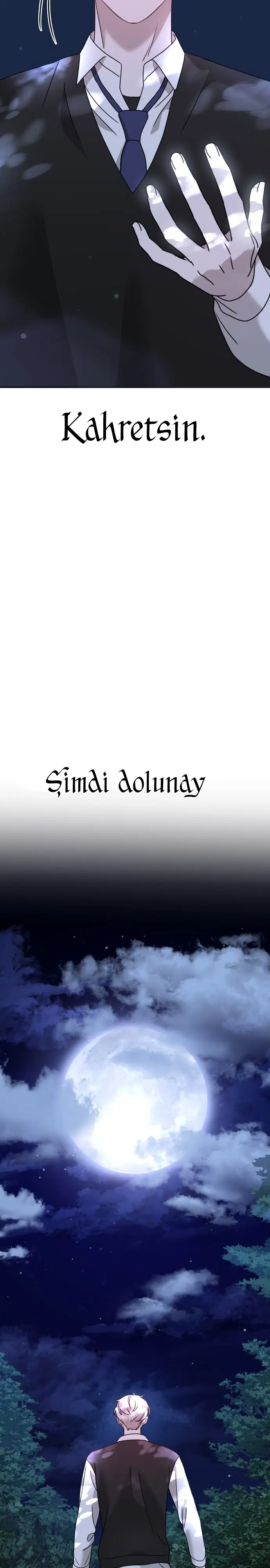 Sis Dağının Kaplanı - Bölüm 17 Sayfa 17