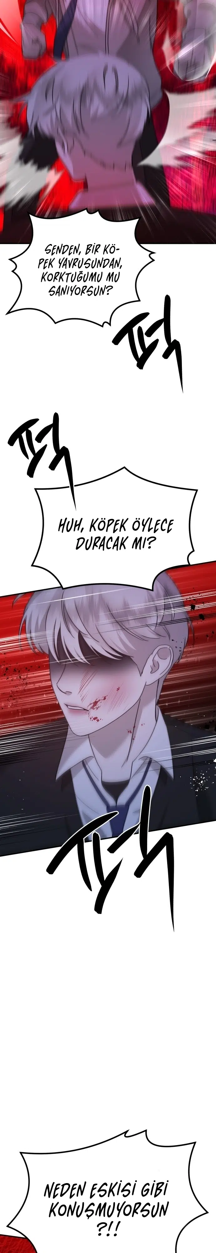 Sis Dağının Kaplanı - Bölüm 18 Sayfa 19
