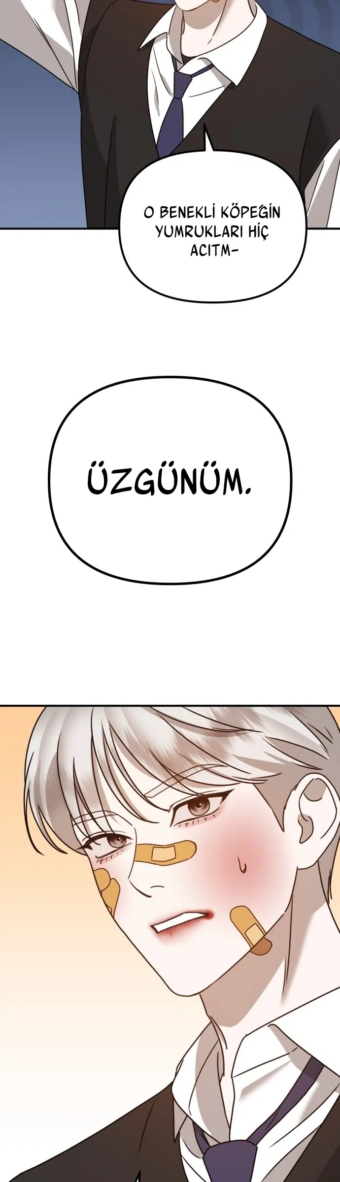 Sis Dağının Kaplanı - Bölüm 18 Sayfa 33
