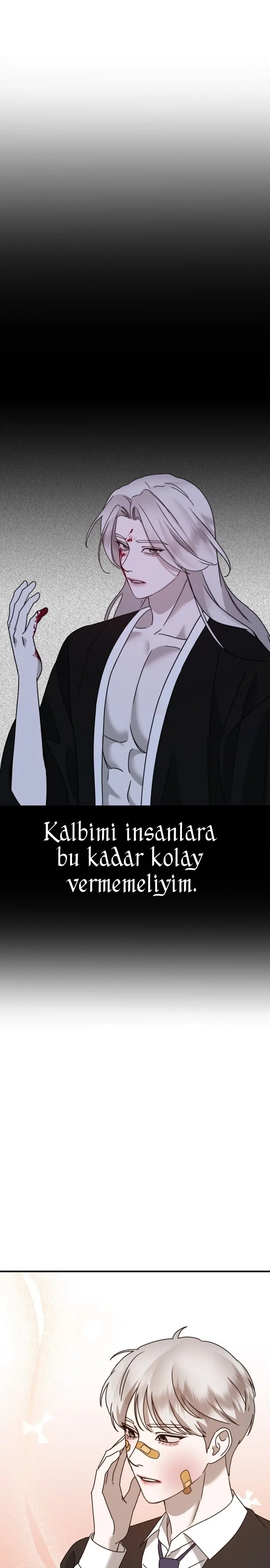 Sis Dağının Kaplanı - Bölüm 18 Sayfa 47