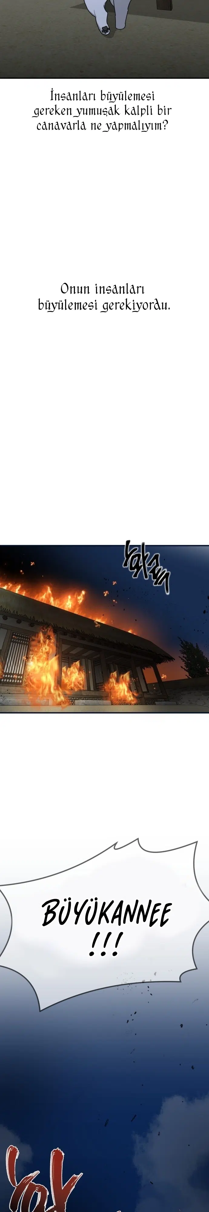 Sis Dağının Kaplanı - Bölüm 19 Sayfa 13