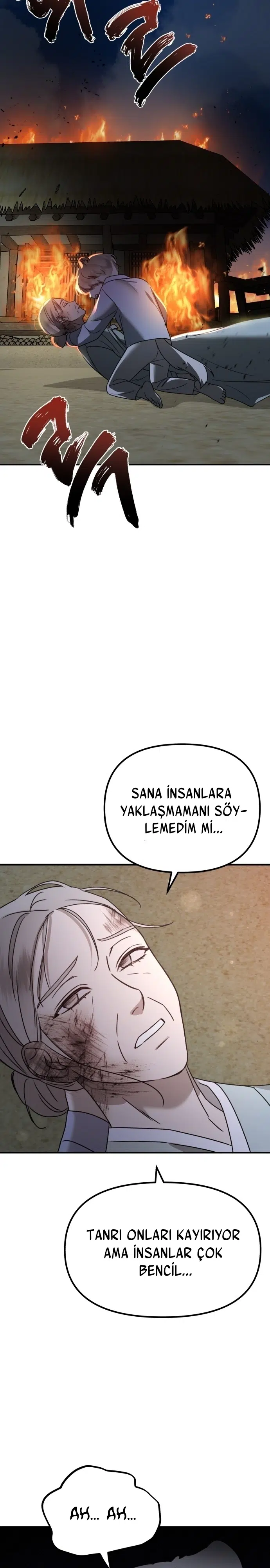 Sis Dağının Kaplanı - Bölüm 19 Sayfa 14