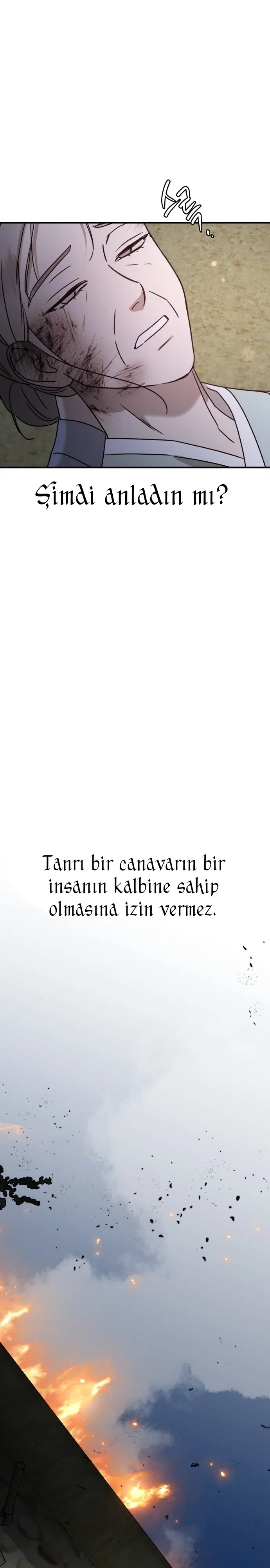 Sis Dağının Kaplanı - Bölüm 19 Sayfa 17