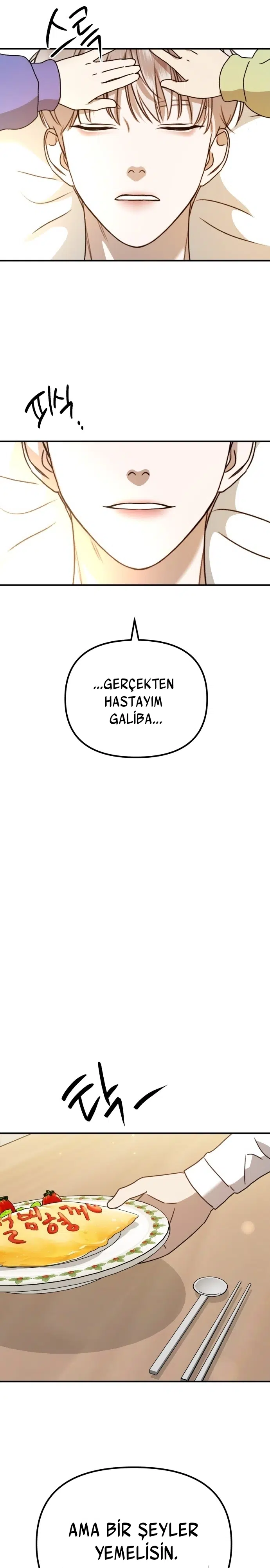 Sis Dağının Kaplanı - Bölüm 19 Sayfa 27
