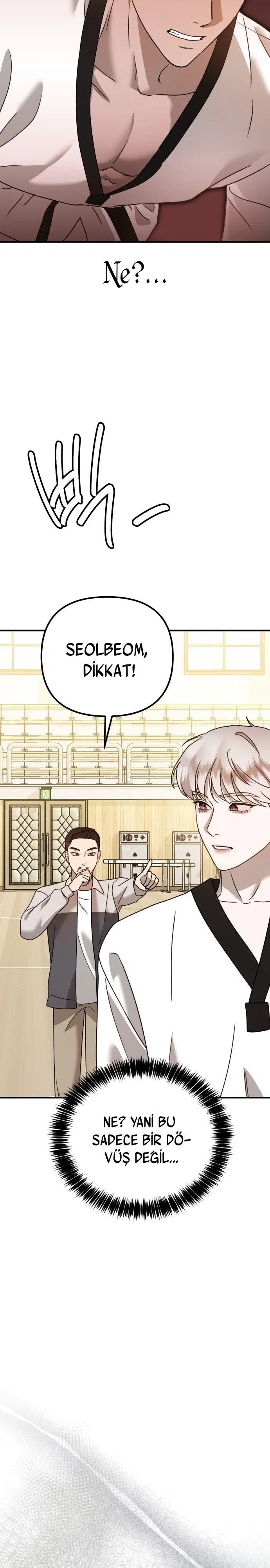 Sis Dağının Kaplanı - Bölüm 20 Sayfa 13