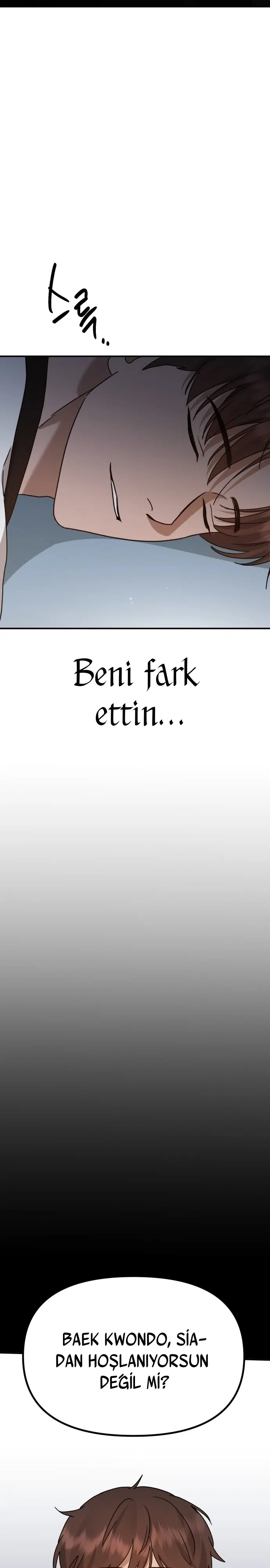 Sis Dağının Kaplanı - Bölüm 20 Sayfa 33