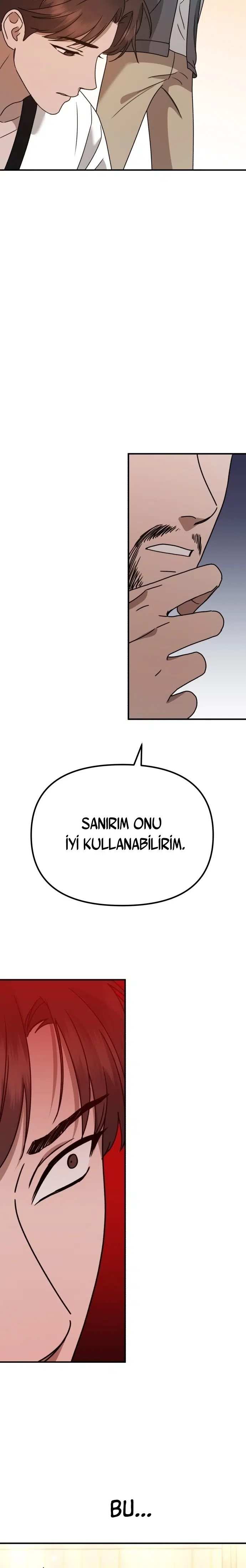 Sis Dağının Kaplanı - Bölüm 21 Sayfa 11