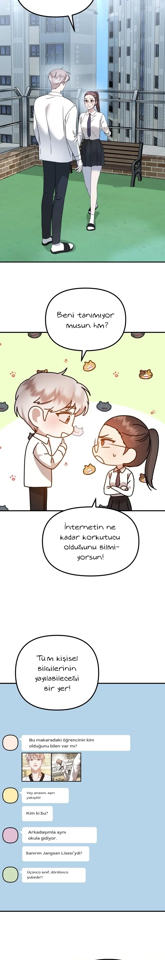 Sis Dağının Kaplanı - Bölüm 22 Sayfa 17