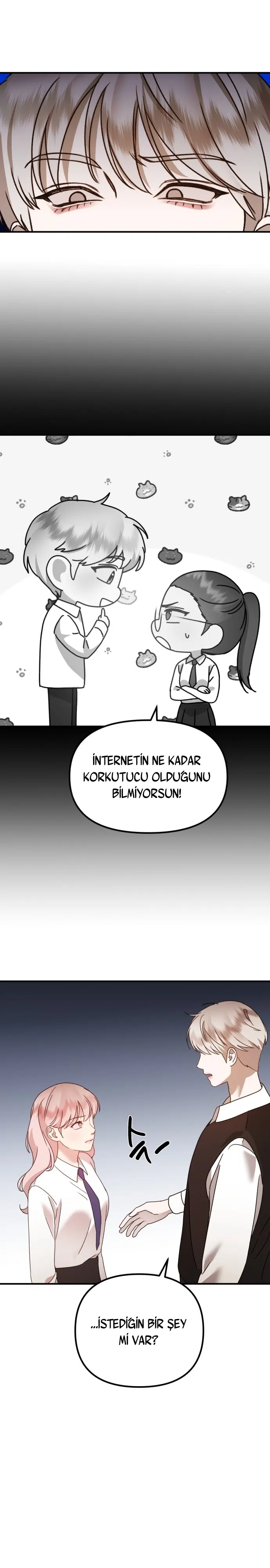 Sis Dağının Kaplanı - Bölüm 27 Sayfa 26