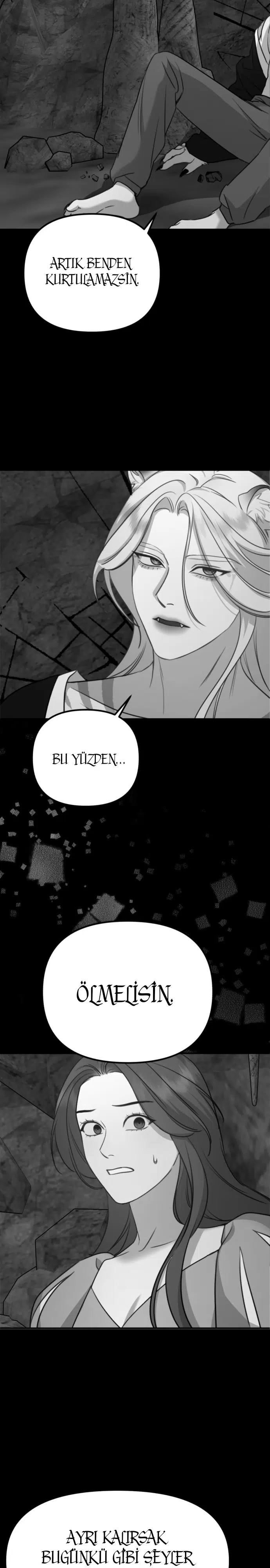 Sis Dağının Kaplanı - Bölüm 28 Sayfa 31