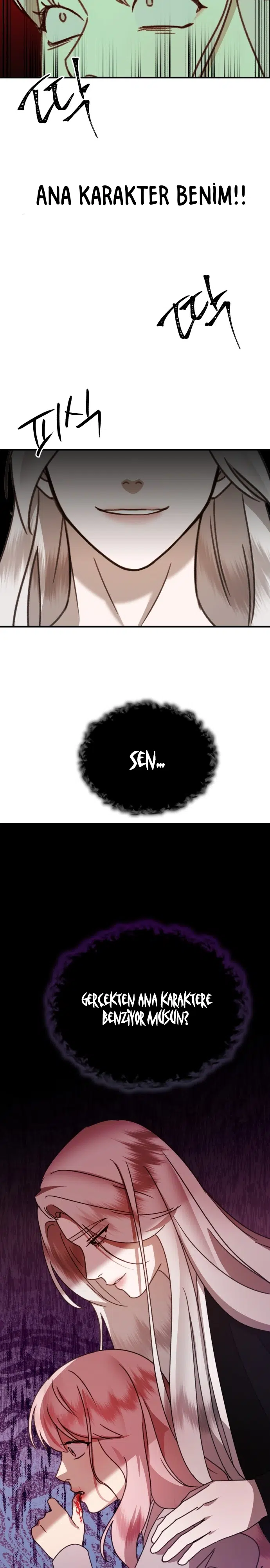 Sis Dağının Kaplanı - Bölüm 30 Sayfa 24