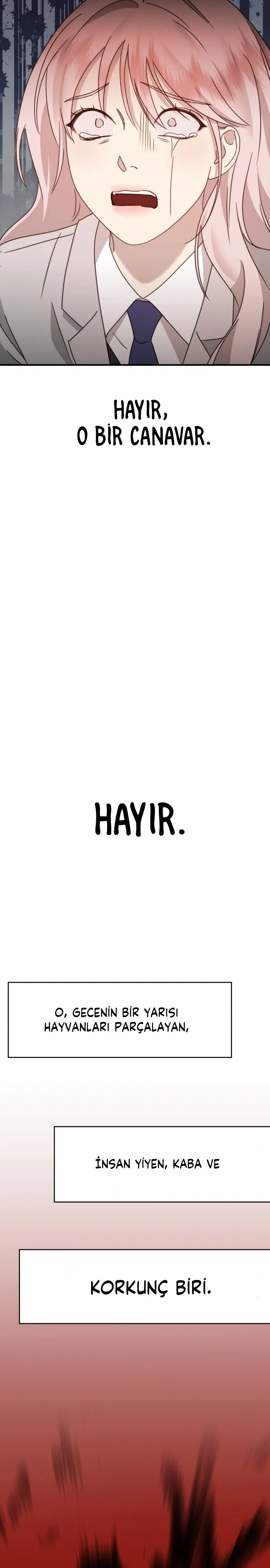 Sis Dağının Kaplanı - Bölüm 31 Sayfa 47