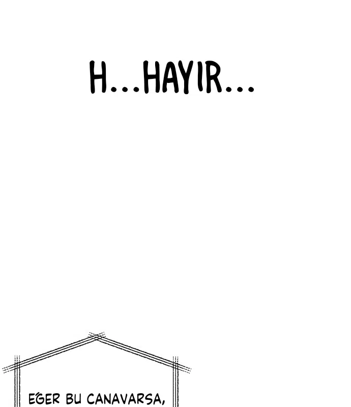 Sis Dağının Kaplanı - Bölüm 32 Sayfa 17