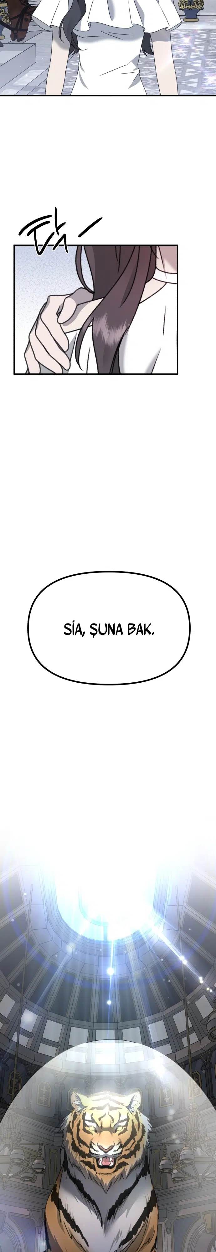 Sis Dağının Kaplanı - Bölüm 36 Sayfa 32