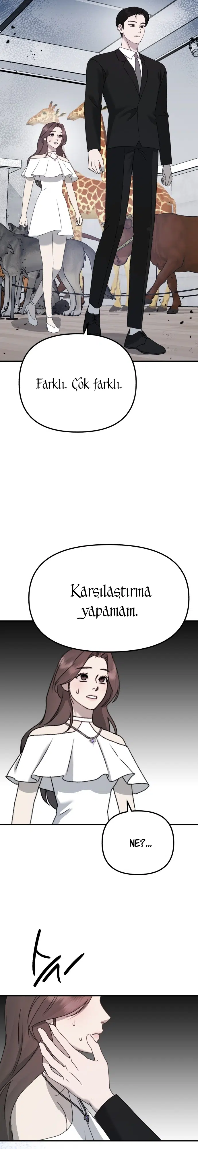 Sis Dağının Kaplanı - Bölüm 37 Sayfa 28