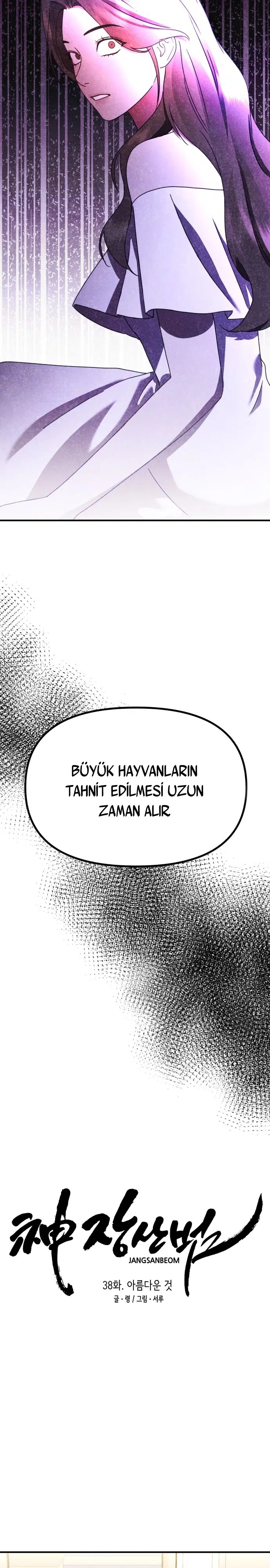 Sis Dağının Kaplanı - Bölüm 38 Sayfa 9