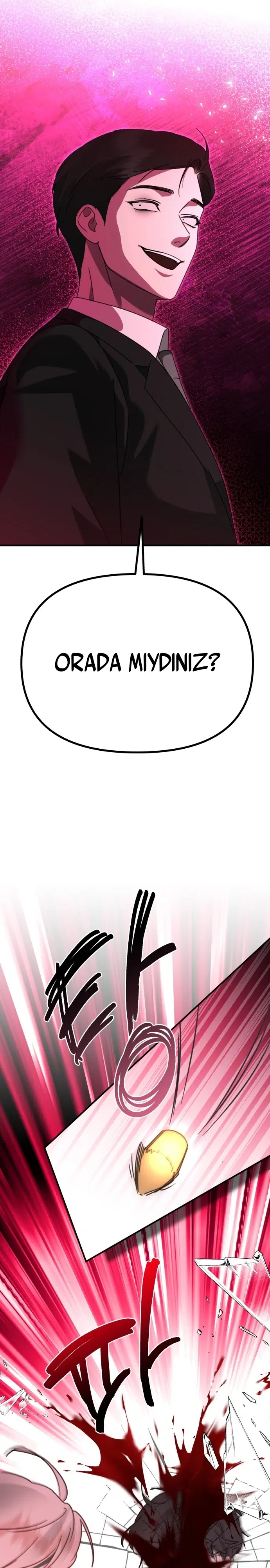 Sis Dağının Kaplanı - Bölüm 40 Sayfa 17