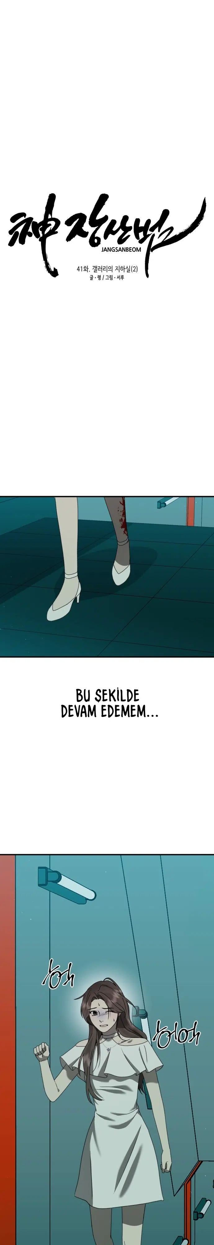 Sis Dağının Kaplanı - Bölüm 41 Sayfa 11