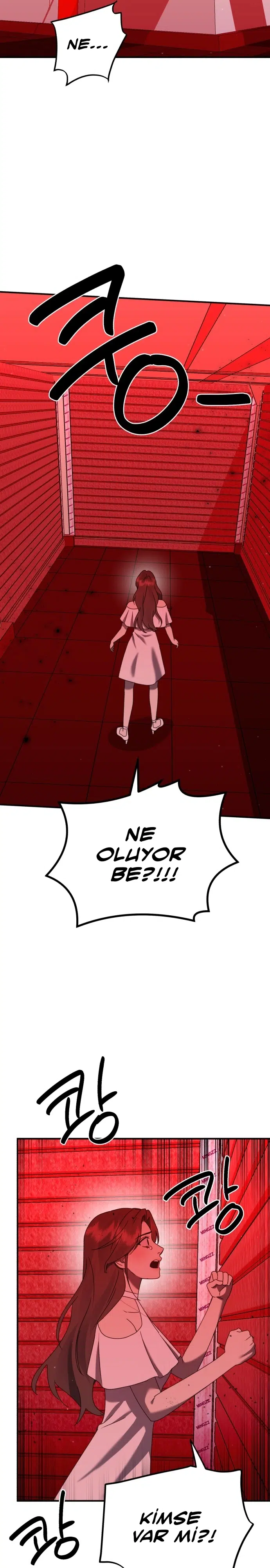 Sis Dağının Kaplanı - Bölüm 41 Sayfa 13