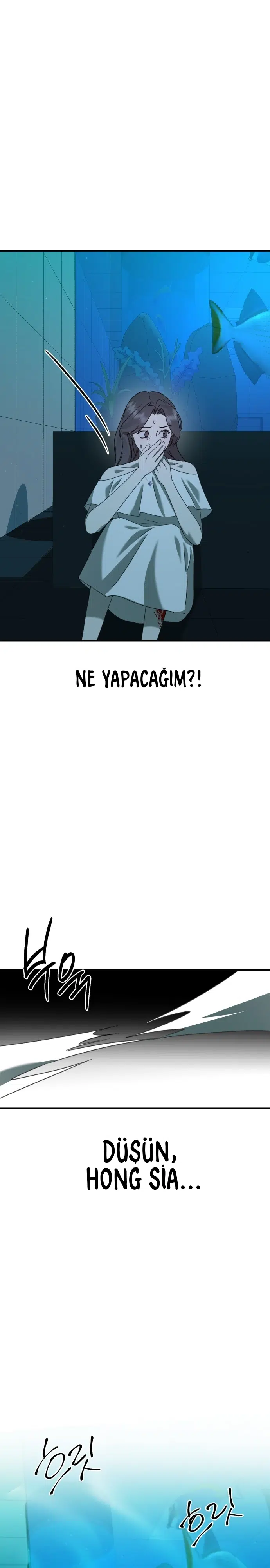 Sis Dağının Kaplanı - Bölüm 41 Sayfa 17