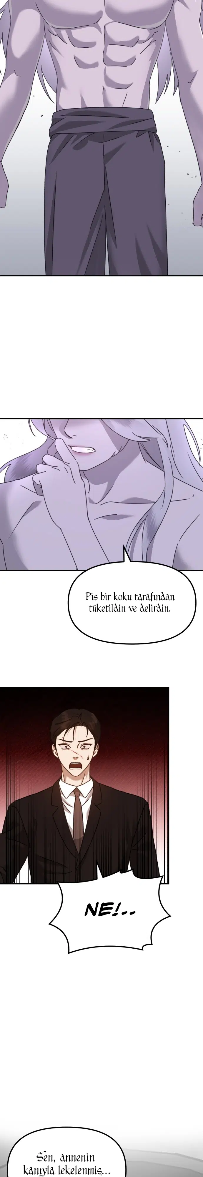 Sis Dağının Kaplanı - Bölüm 41 Sayfa 26