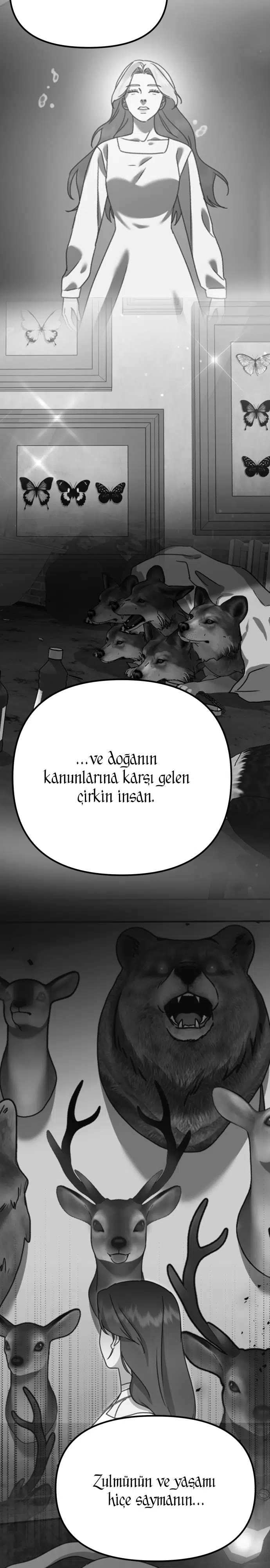 Sis Dağının Kaplanı - Bölüm 41 Sayfa 27
