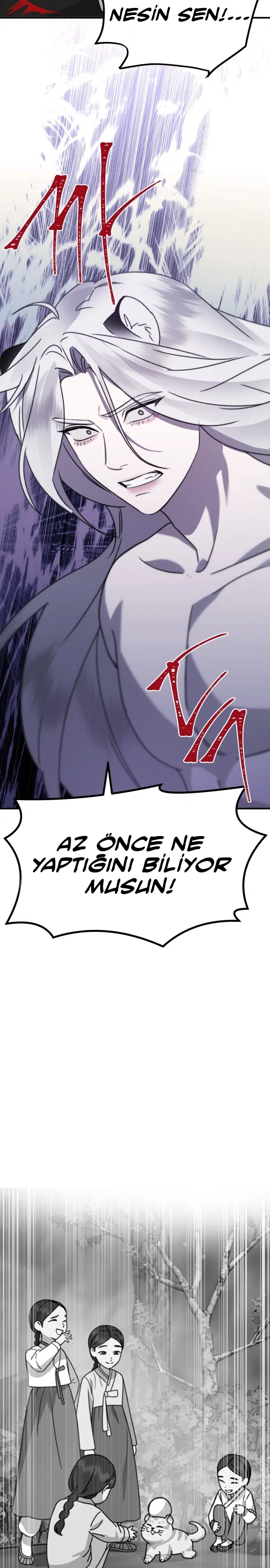 Sis Dağının Kaplanı - Bölüm 41 Sayfa 30