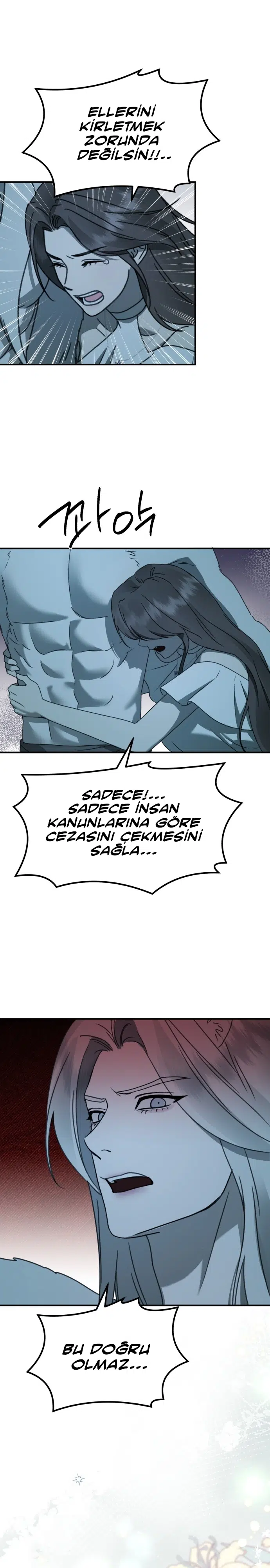 Sis Dağının Kaplanı - Bölüm 42 Sayfa 14