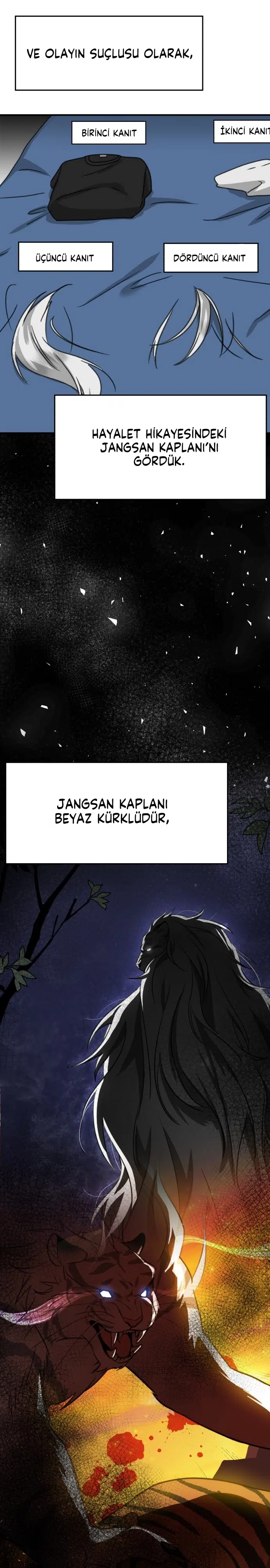 Sis Dağının Kaplanı - Bölüm 44 Sayfa 21