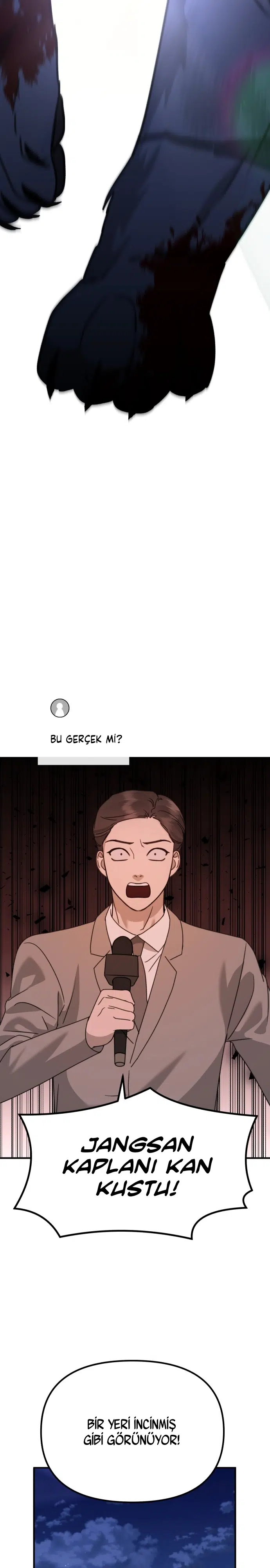 Sis Dağının Kaplanı - Bölüm 45 Sayfa 3